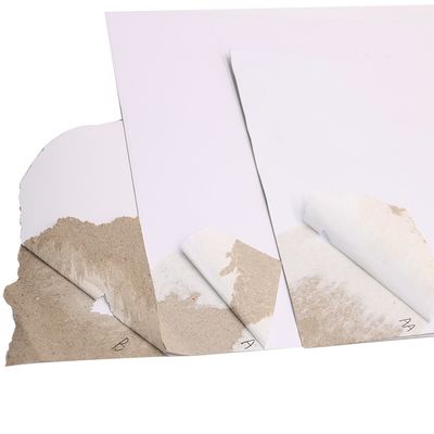 Customized Duplex Board Paper with 170~500 GSM and 0.2mm~0.54mm Thickness for 1ton MOQ Orders