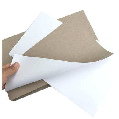 Customized Duplex Board Paper with 170~500 GSM and 0.2mm~0.54mm Thickness for 1ton MOQ Orders