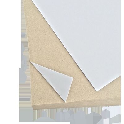 Industrial Use Moisture Proof Single Side Coated Grey Back Duplex Board Paperboard