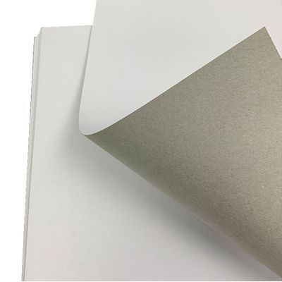 Industrial Use Moisture Proof Single Side Coated Grey Back Duplex Board Paperboard