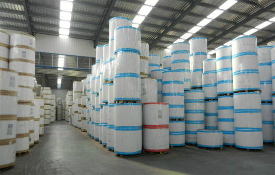 Industrial Use Moisture Proof Single Side Coated Grey Back Duplex Board Paperboard