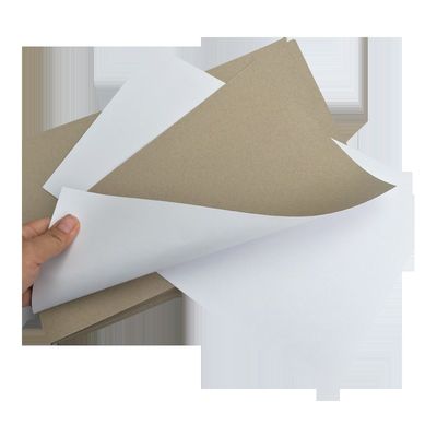 Industrial Use Moisture Proof Single Side Coated Grey Back Duplex Board Paperboard