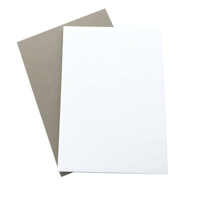Industrial Use Chemical Resistance Customized Shape Duplex Board Grey Back for Packaging