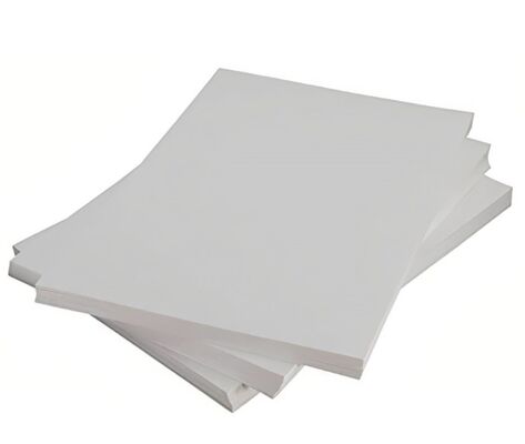 Chinese Factory Direct Sales of High Cost Performance Customized Wood Pulp 60 Gsm 70G 80G White Offset Paper